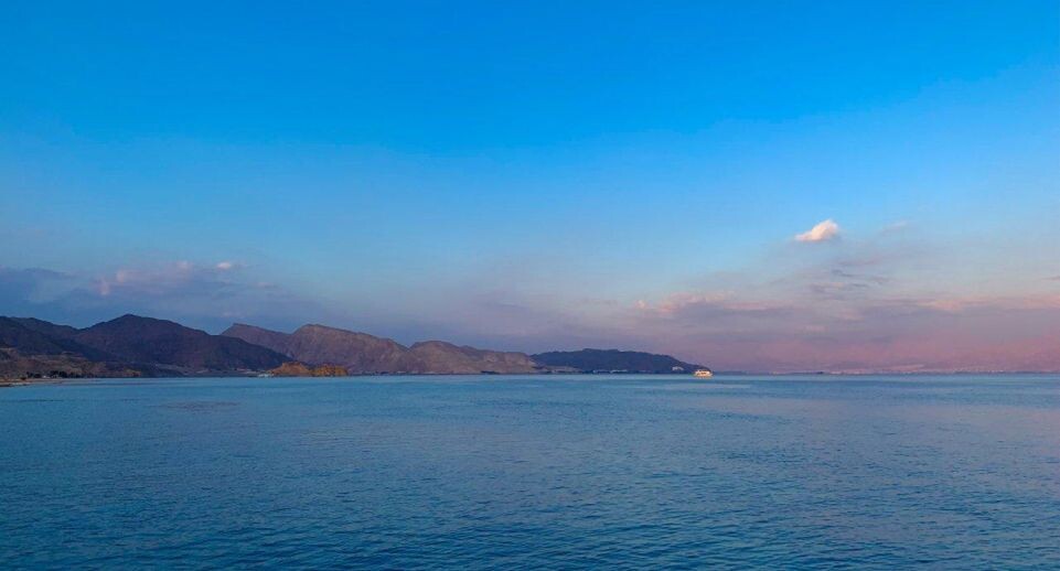    REGIONS/Илья Попов