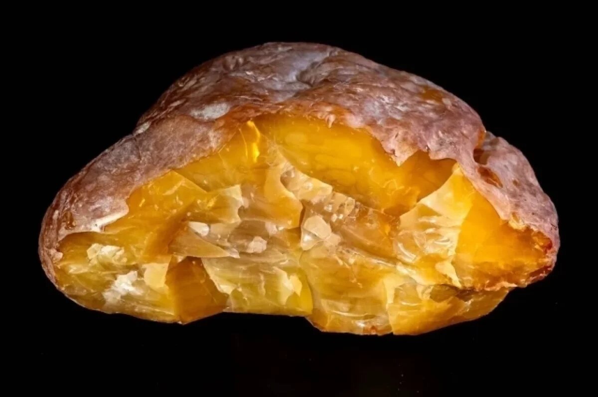    Янтарный комбинат впервые соединил янтарь и поталь