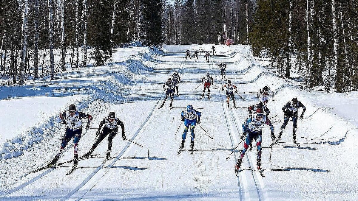    Фото: телеканал «Краснодар»