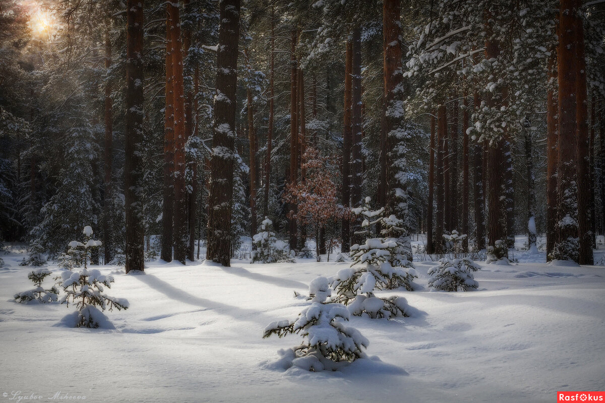 Изображение из открытых источников