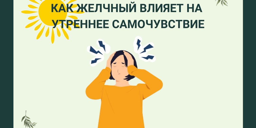 Утренний ритм ЖКТ: роль желчи и нервной системы