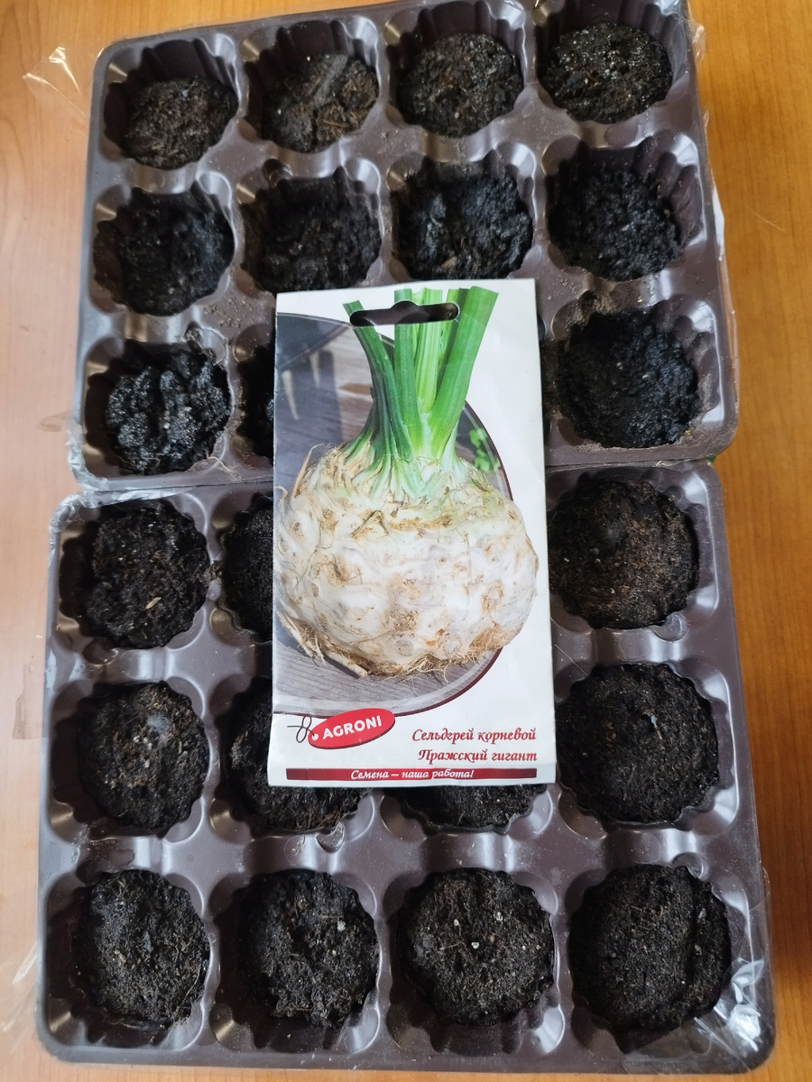 Сорт Пражский гигант оказался невсхожим, хотя срок годности ещё не истёк. 
