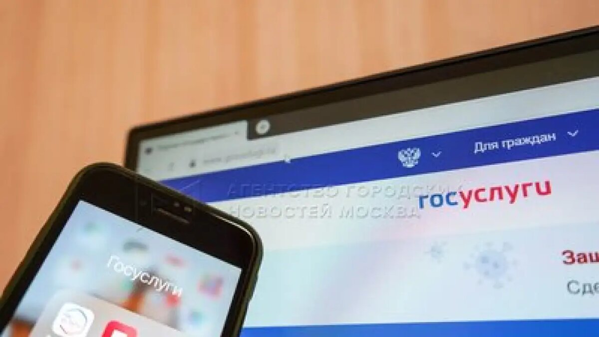    Портал Госуслуги. Мобильный репортёр / АГН «Москва»