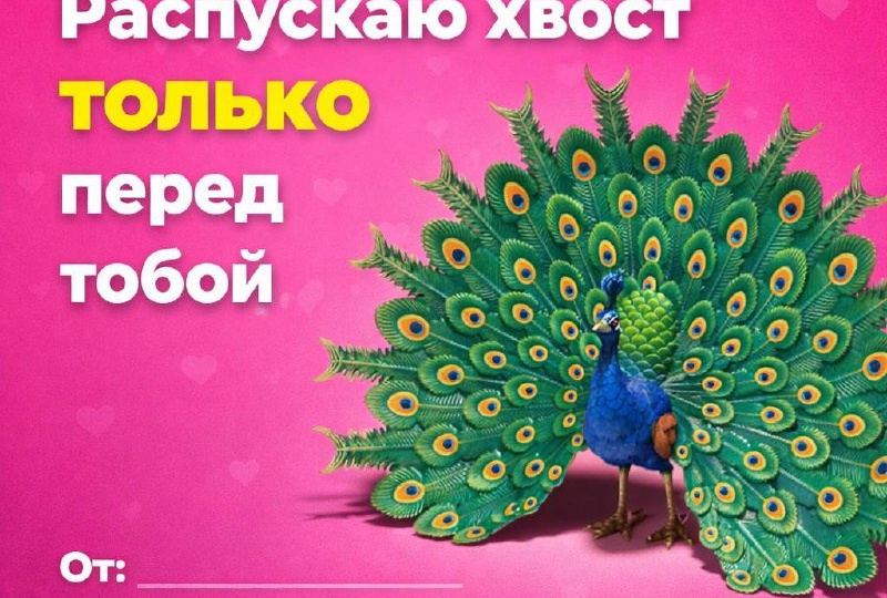 В вас прилетели валентинки