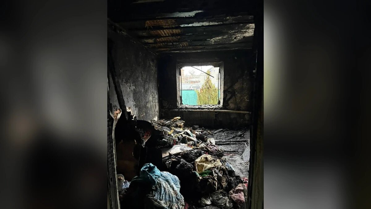    Фото t.me/proc_23