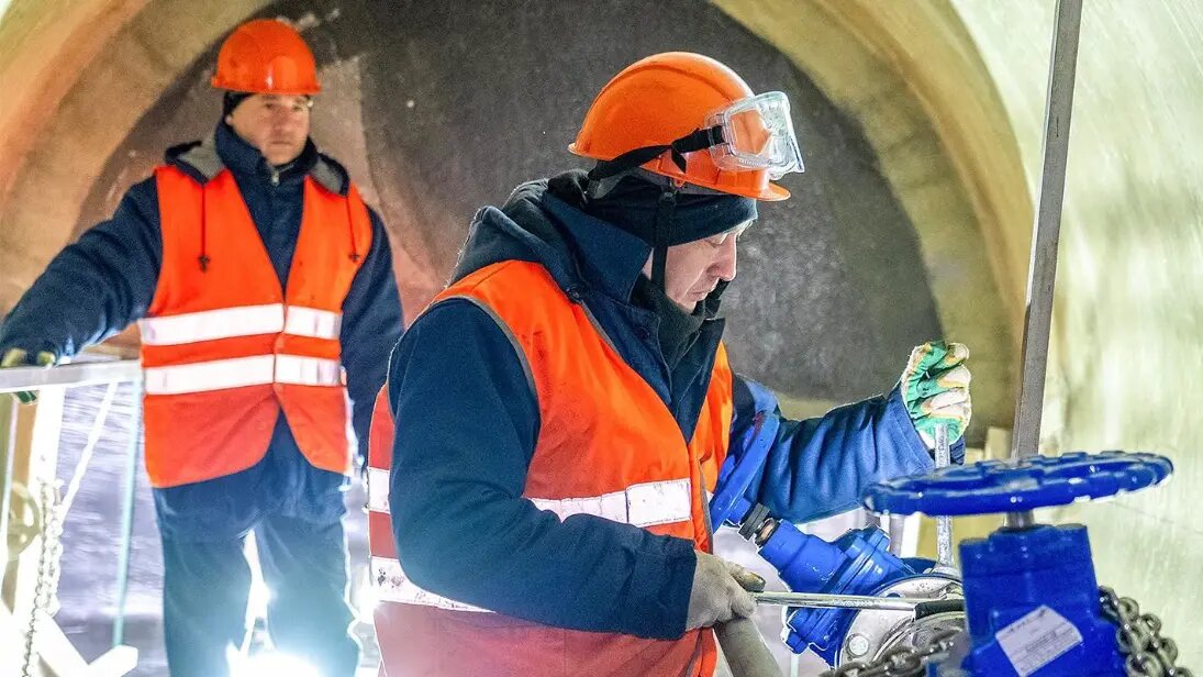    Фото: vm.ru Елизавета Кошелева