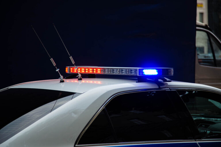    Фото: Общественная Служба Новостей Лаура Акопян