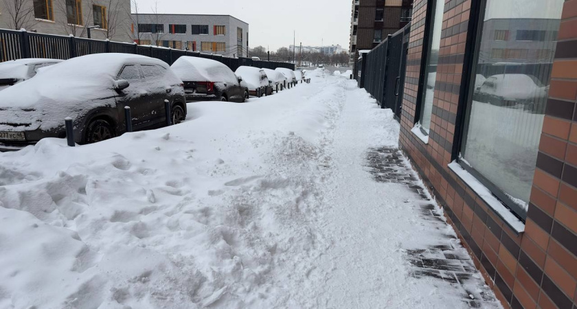    Фото newtambov.ru