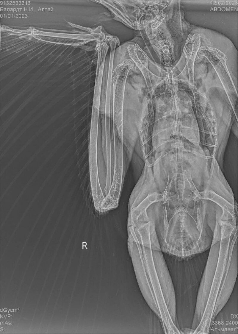 Листайте вправо, чтобы увидеть больше изображений