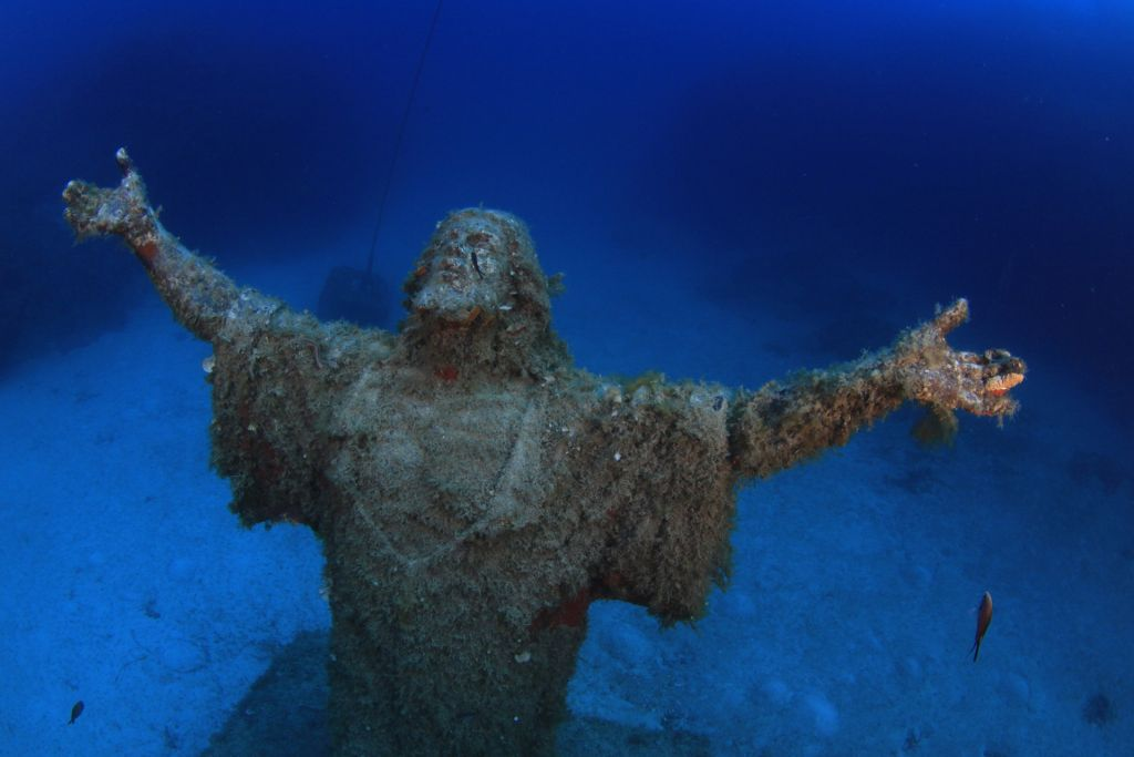 Imperial Eagle. Фото: Sy Zammit