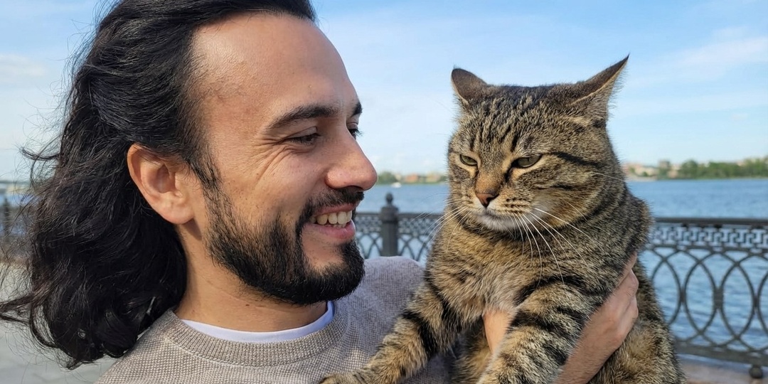 Почему ваш кот смотрит на вас с осуждением, когда вы едите ночью у холодильника (и как его переиграть)