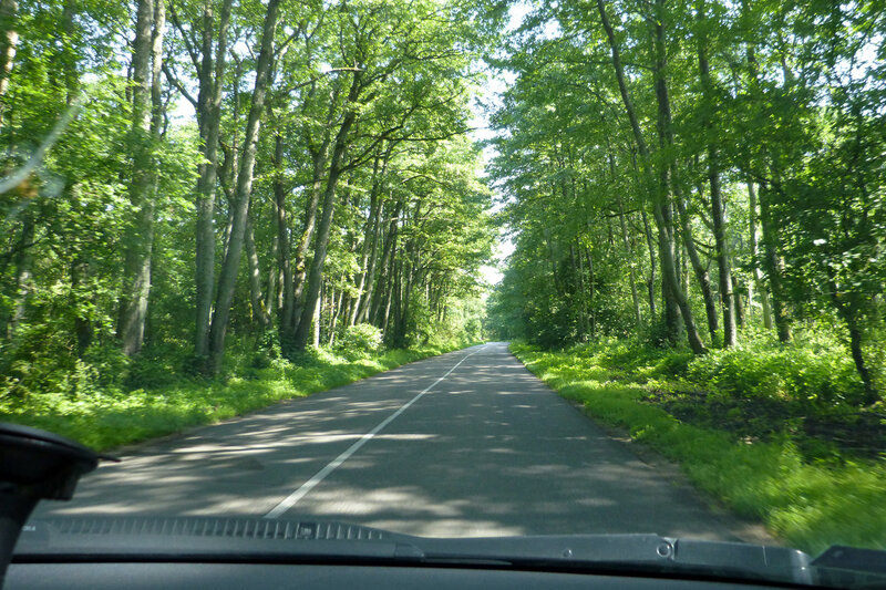 Дорога, идущая через Куршскую косу