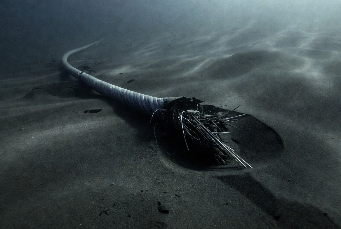    Фото: Коллаж RuNews24.ru