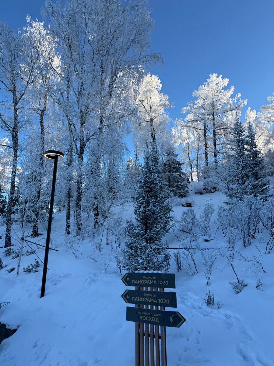 Утро в горах. Солнышко сначала освещает макушки деревьев, такая игра света 🩵