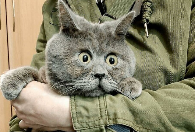 Когда его нашли, все отвернулись. А через два года о нем пишут в Америке и Японии