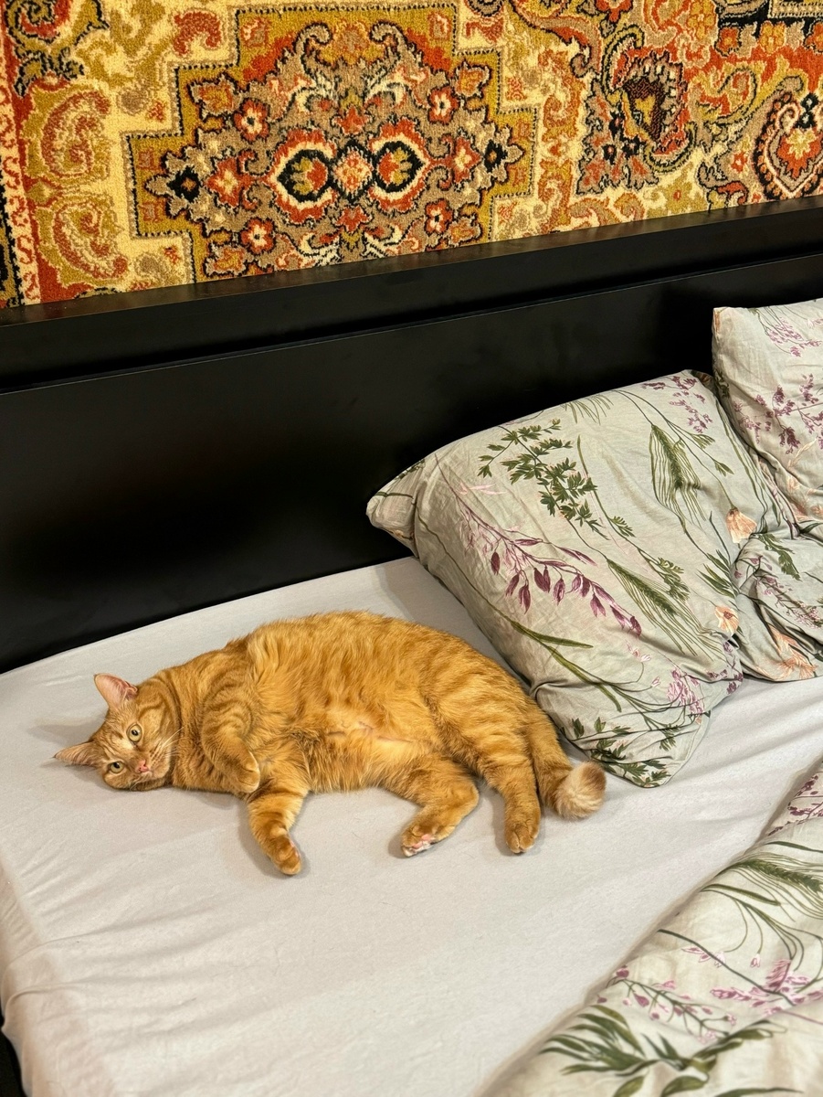    Город Киров.ru