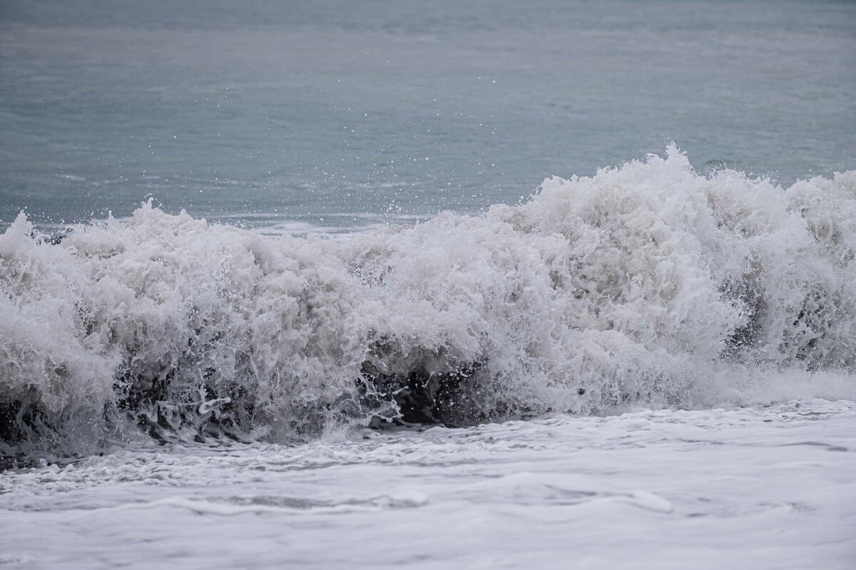    Фото: пресс-служба ФТ Сириус