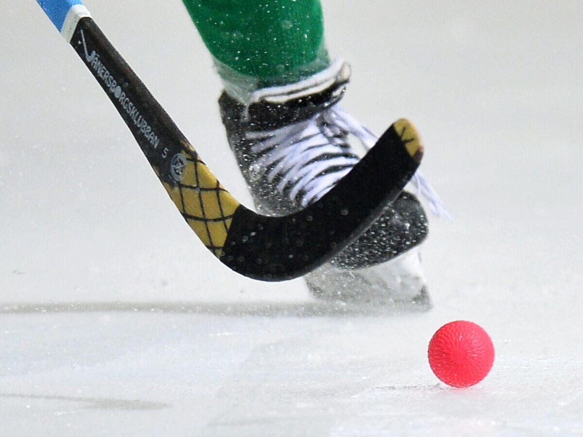    Хоккей с мячом | © РИА Новости / Максим Богодвид