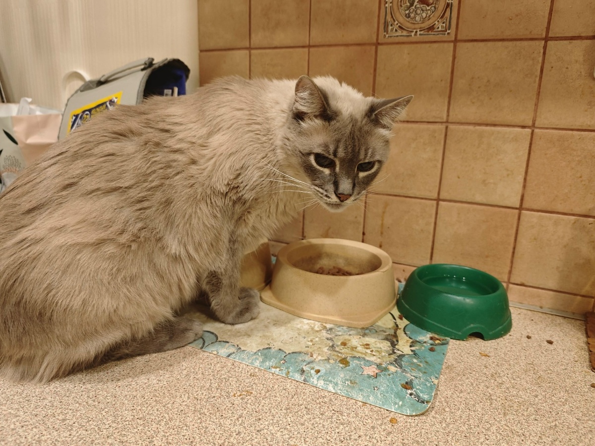    Город Киров.ru