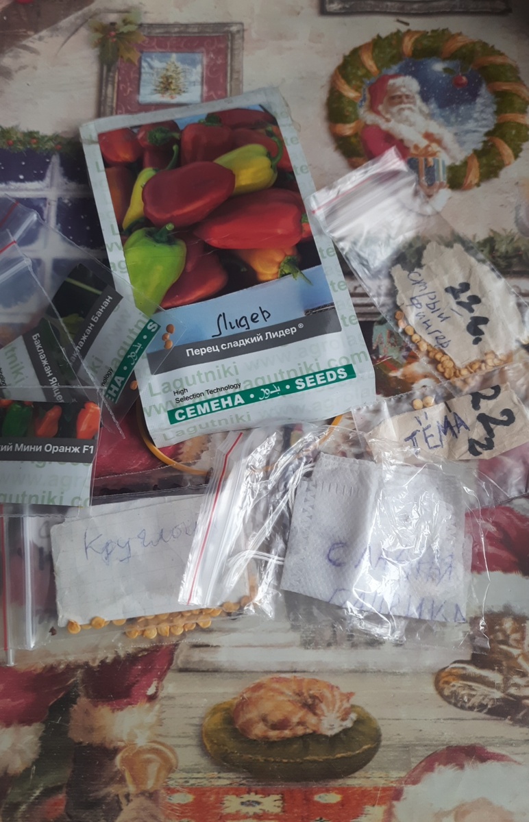 Фотографии из личного архива 