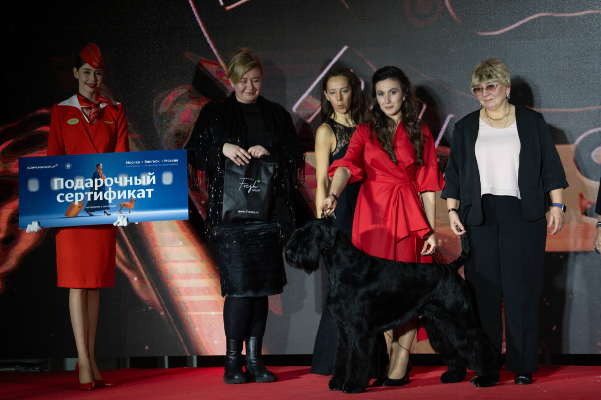 Фото: Александр Плонский / «ВиЖ»