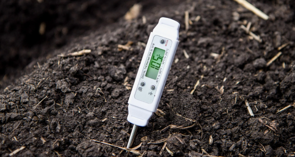 Какая температура нужна для прорастания семян лука в домашних условиях 