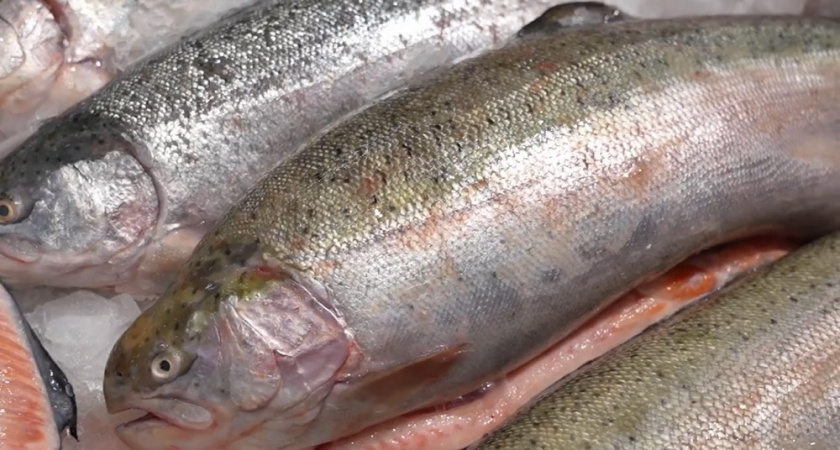    Pro Город (архив)