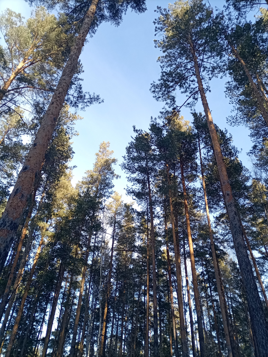 Сегодня ушли ещё дальше. 