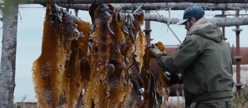    кадр из фильма о сборщиках водорослей