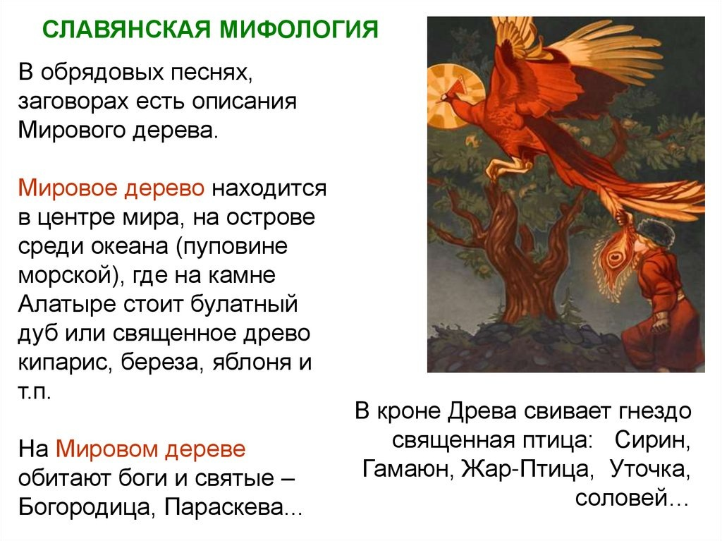 ppt Онлайн Мировое древо как отражение единства мира