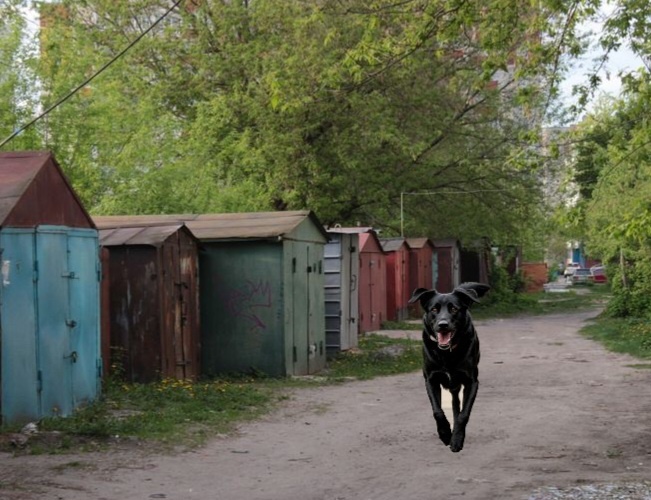 Коллаж автора