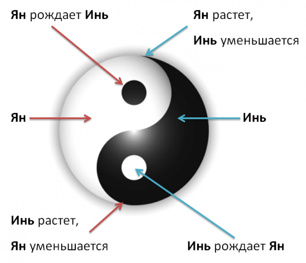 Изменения в соответствии с классической схемой порождения, трансформации и взаимопревращения Инь и Ян.