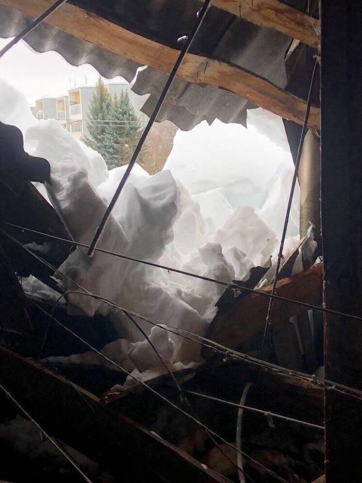     Фото: Михаил Голубев/ТГ