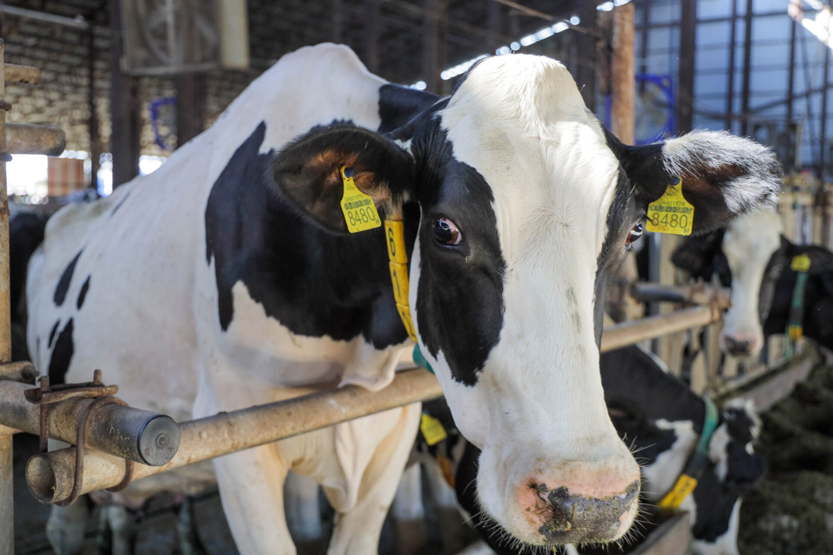    Фото: ТРК «Таврия»