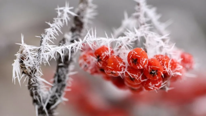 Фото: inastana.kz