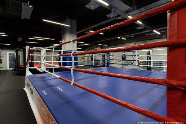 В Калининграде разрабатывают VR-тренажер для подготовки боксеров