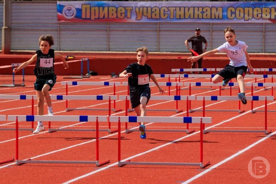    Фото: Дмитрий Рогулин/"Городские вести"