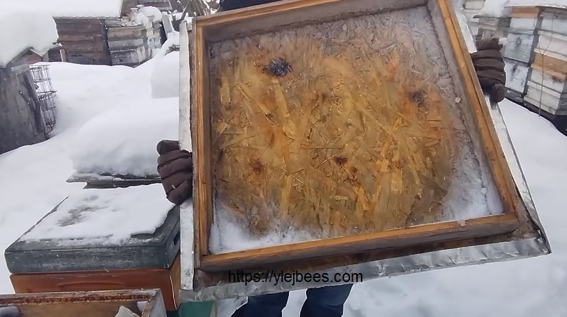 Что делать на пасеке в оттепель