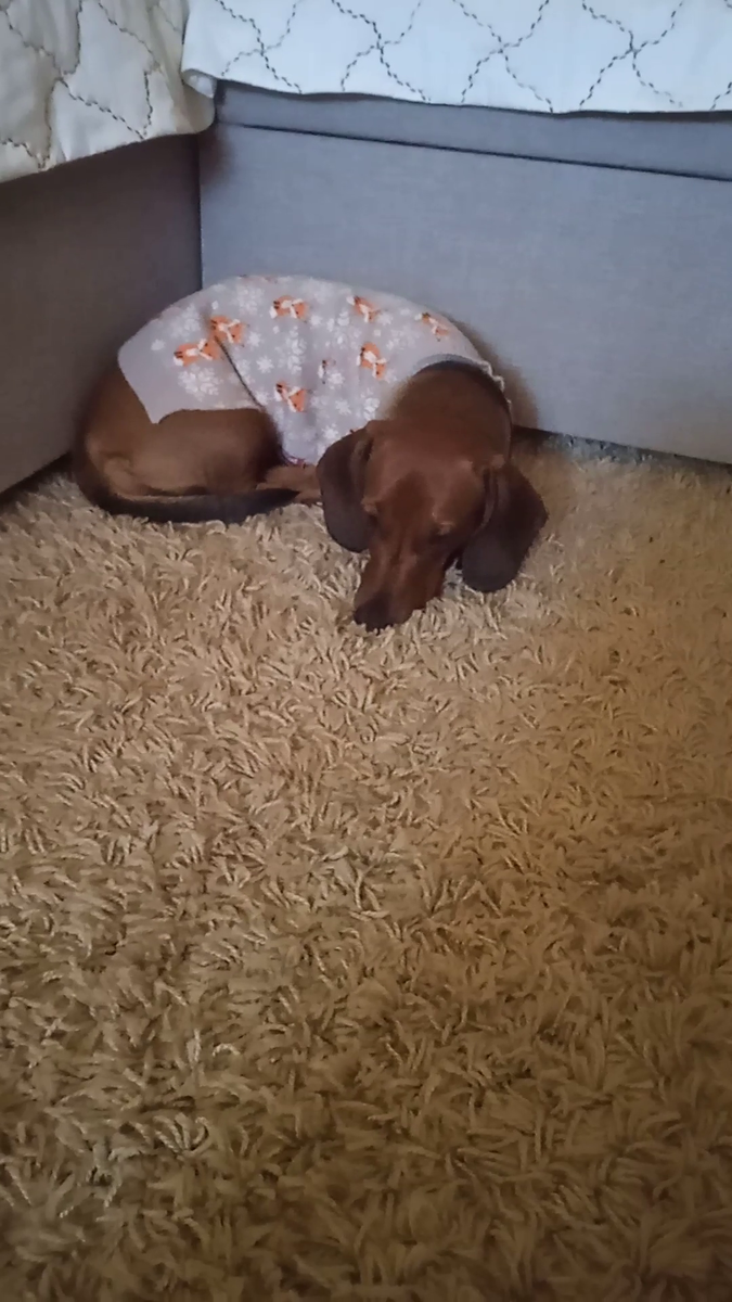 Дрожу от холода в свитере