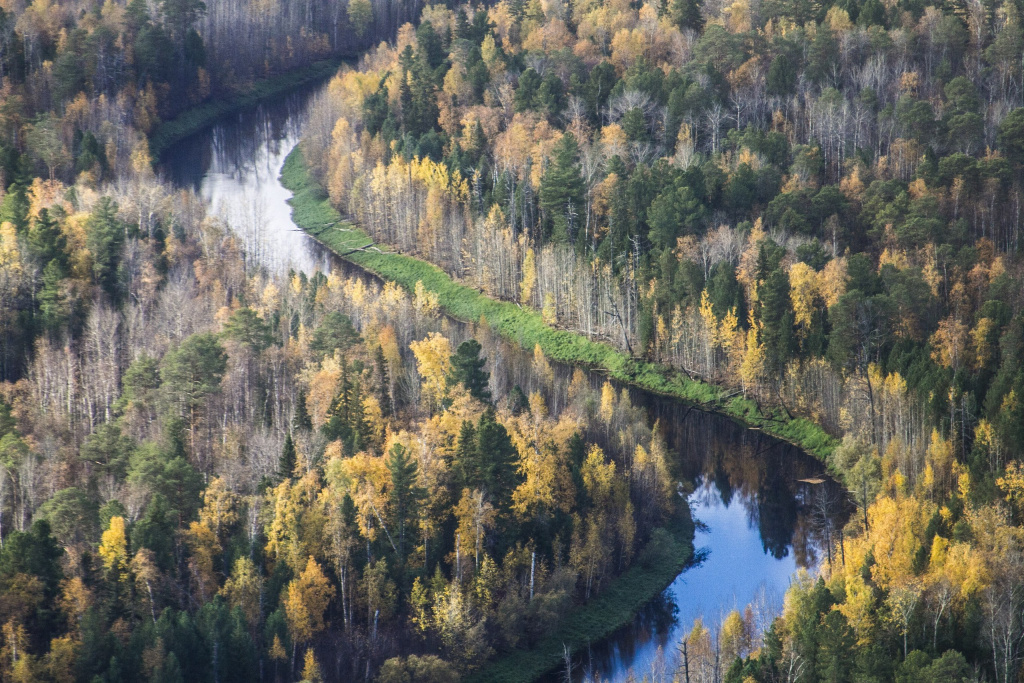    Проект учёных из Ханты-Мансийска победил в конкурсе грантов Президентского фонда природы