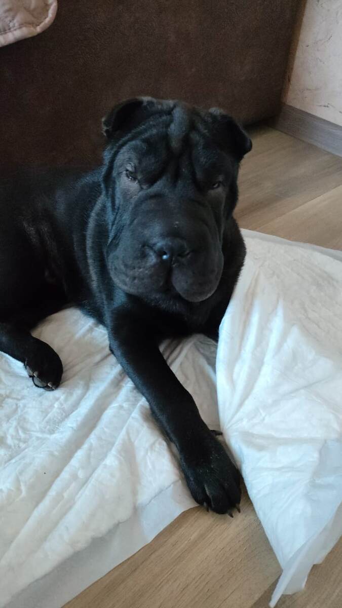 Жорик, помнишь, какой маленький был?