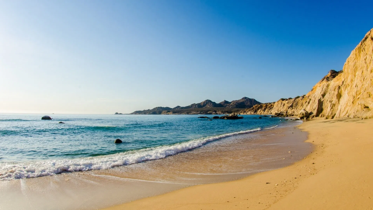 Фото: charterindex.com