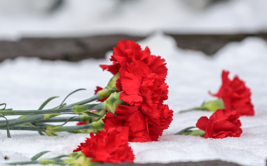    Сергей Булкин/NEWS.ru