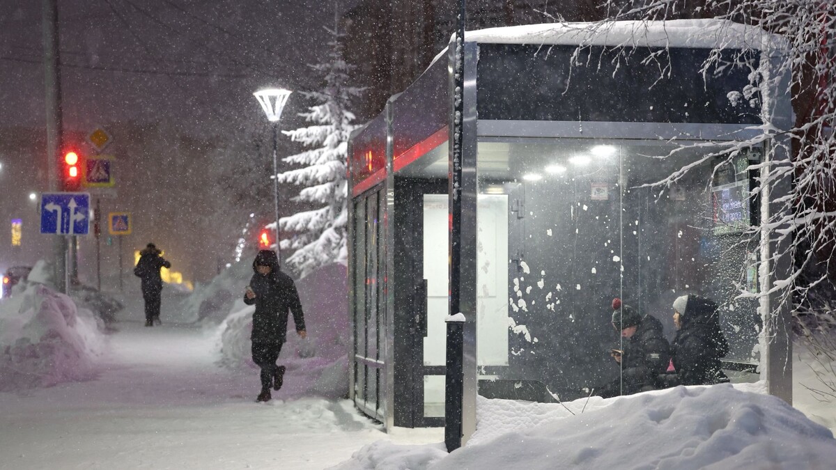    Фото: Андрей Ткачев/«Ямал-Медиа»