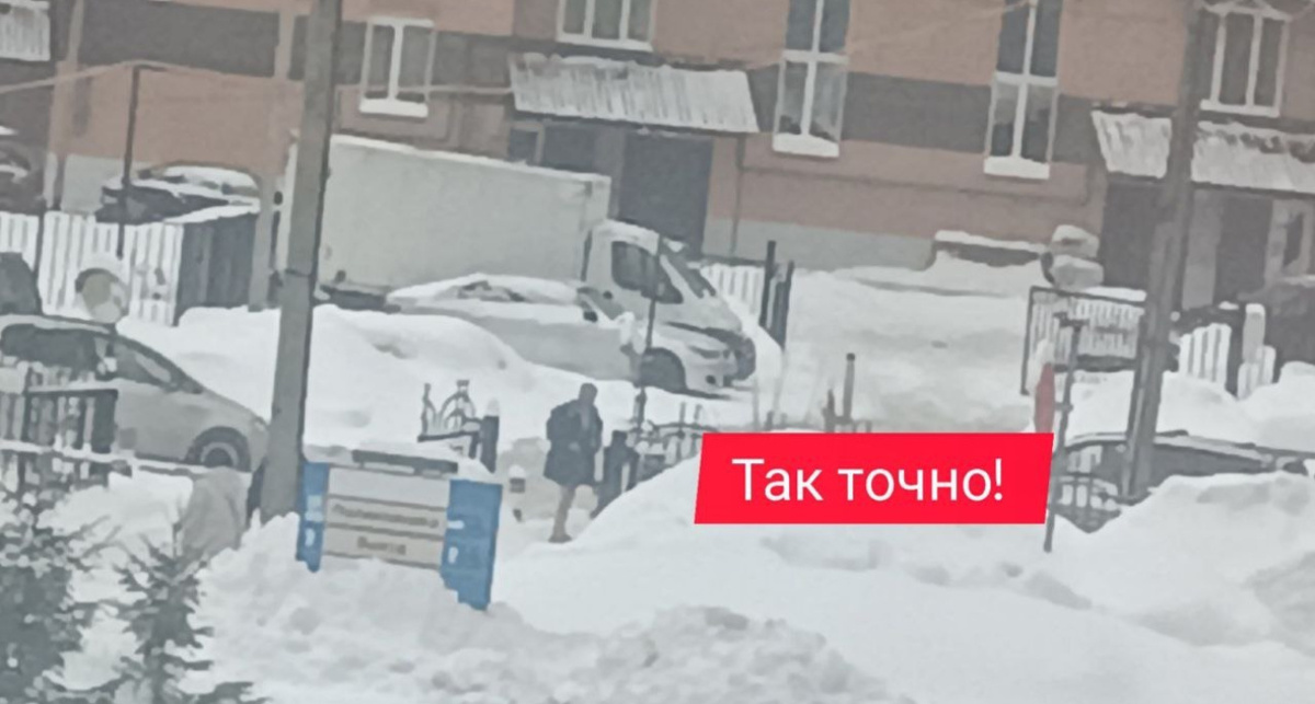    телеграм-канал @tak_to4no_yarkos