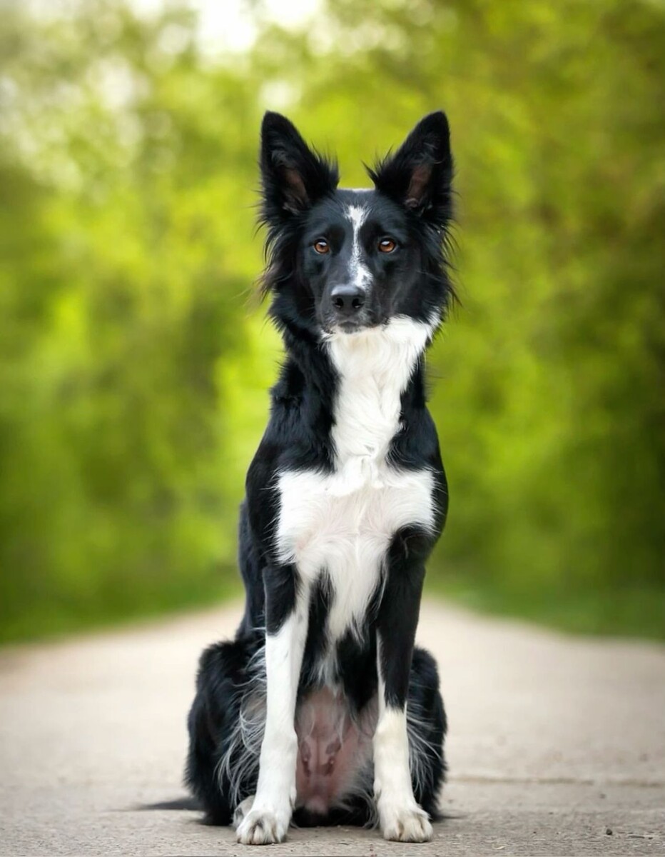 картинка из открытых источников 