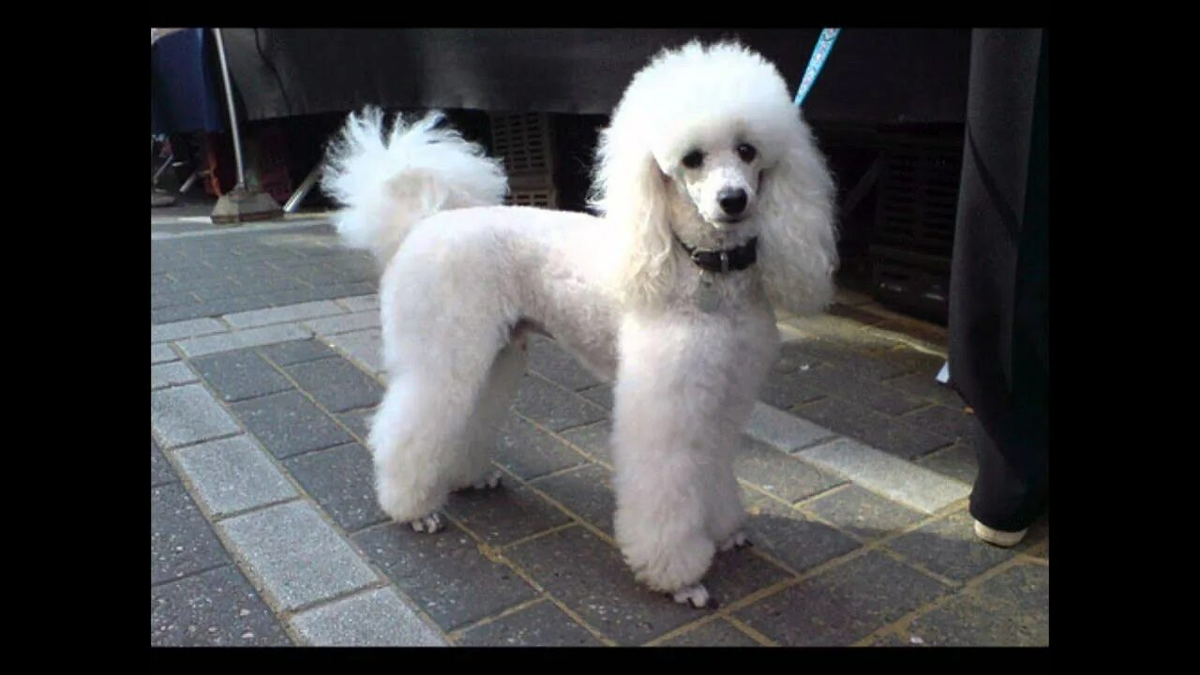 картинка из открытых источников