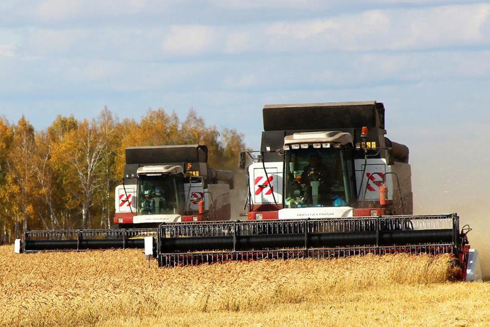    Фото из архива ngt54.ru