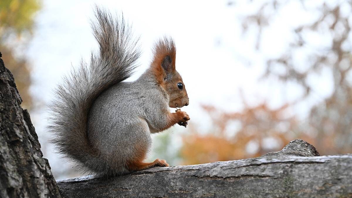    Фото: Мария Хапцова / Вечерняя Москва