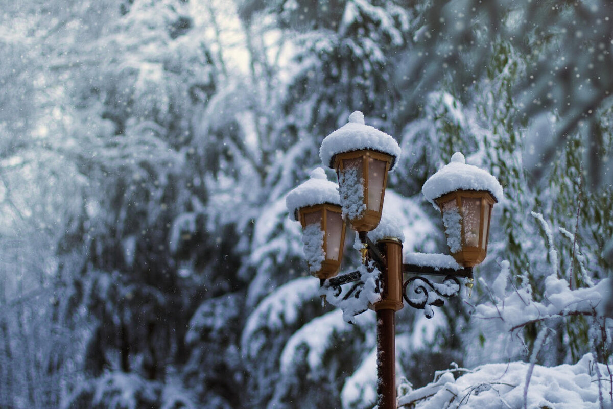    Зима. @wirestock/freepik.com